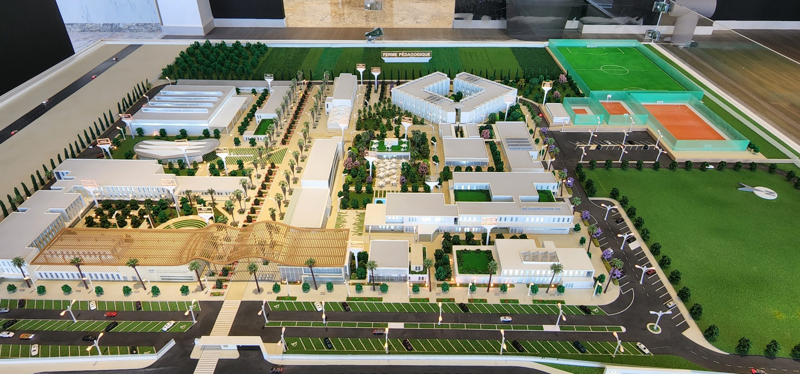 Cité des métiers et des compétences de Rabat | CONCOURS ARCHITECTURAL 1ER  PRIX — 15
