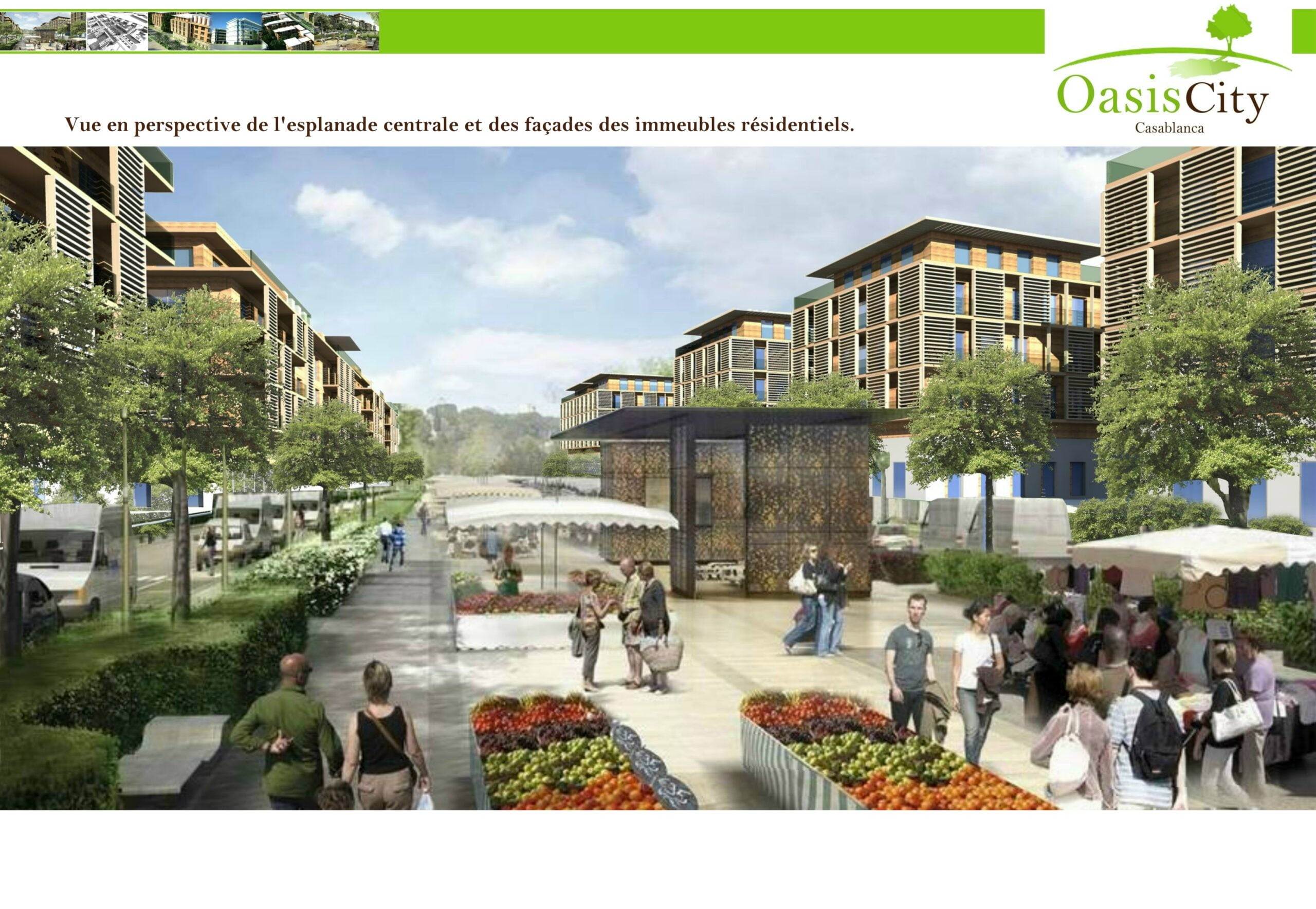Dérogation Oasis City — 4