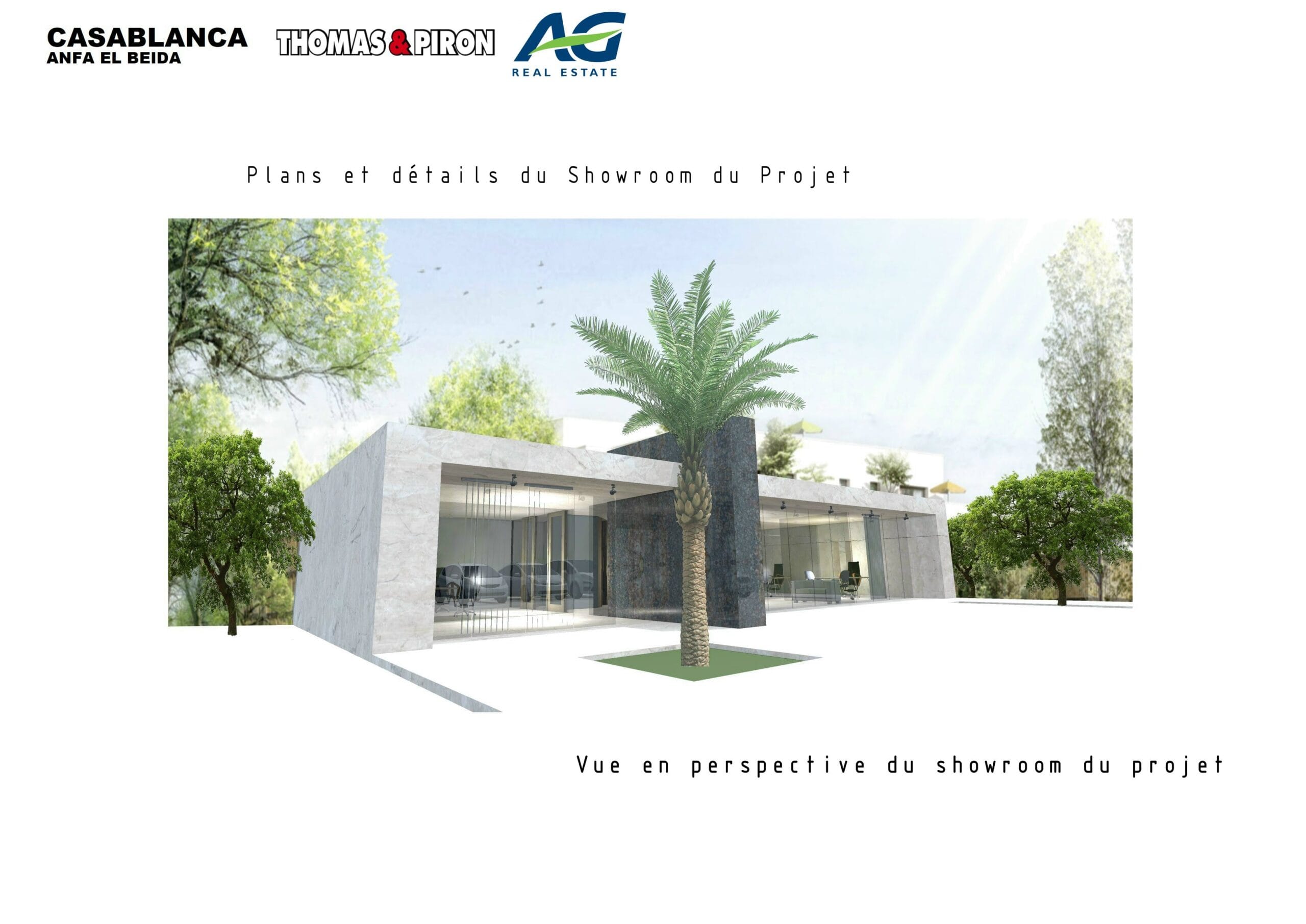 SHOW ROOM THOMAS PIRRON Casablanca — 3