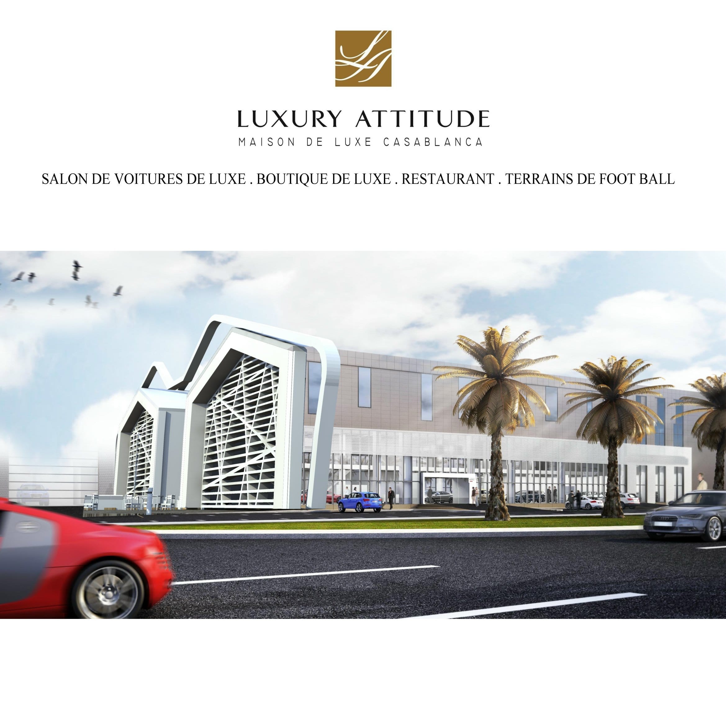 Luxury Attitude — 10